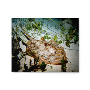 Beauty in Darkness Metallic Print